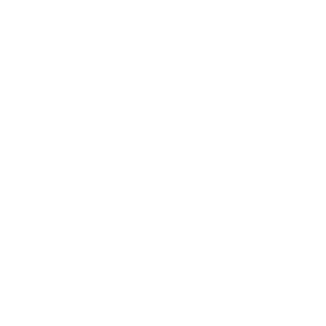wiener sport